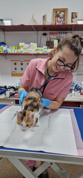 Mirciu Denisa - medic veterinar